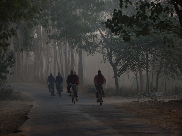A group of cyclists in casual gear riding through a misty forest trail at dawn.