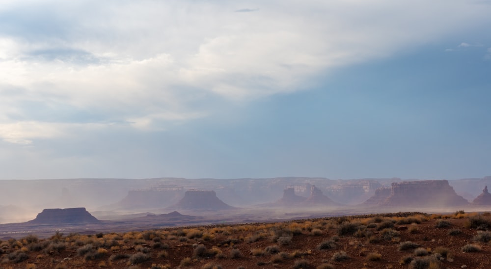 brown field under white clouds during daytime