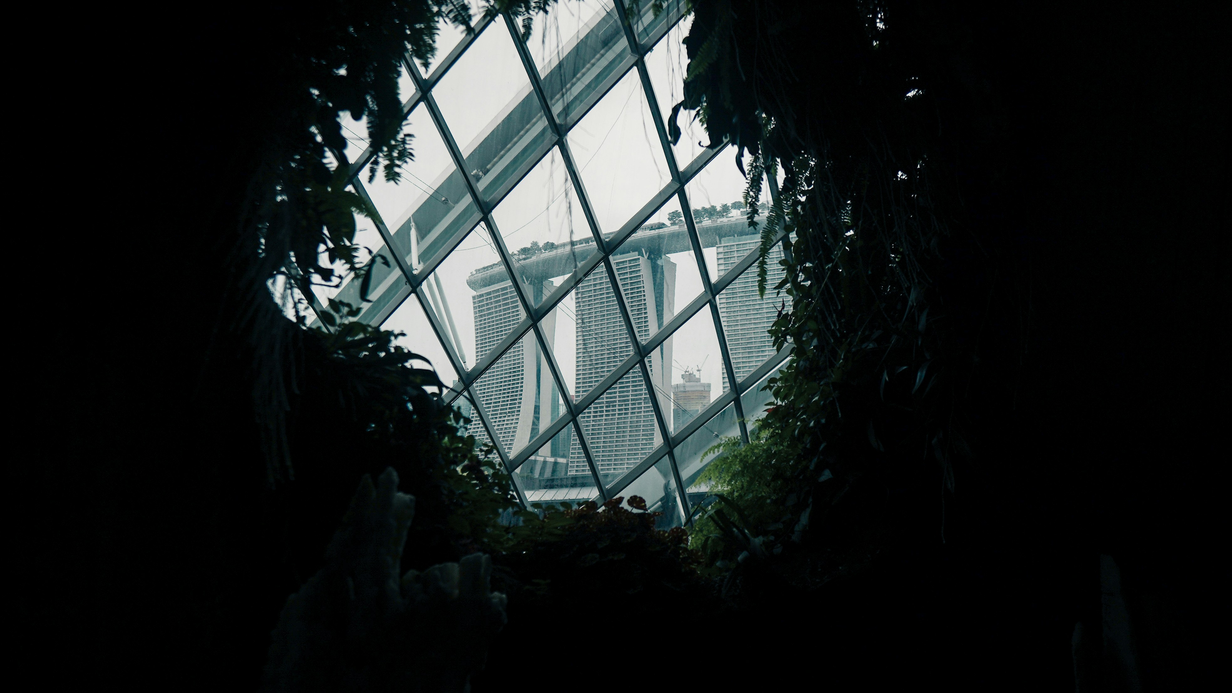 Photo by makariostang