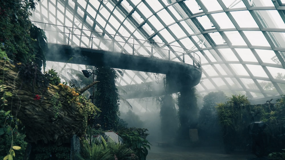 green plants inside a building