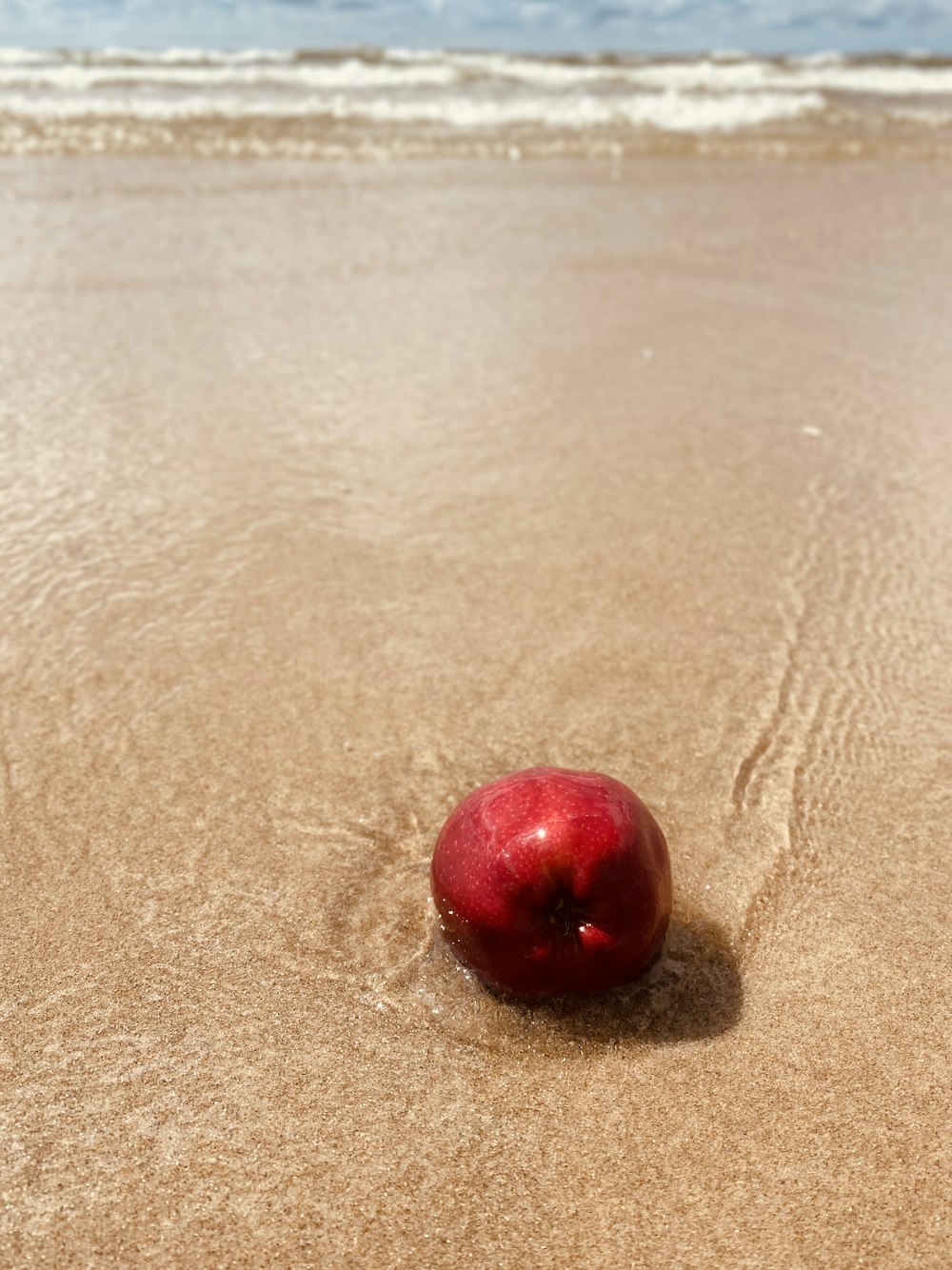 red round fruit on brown sand