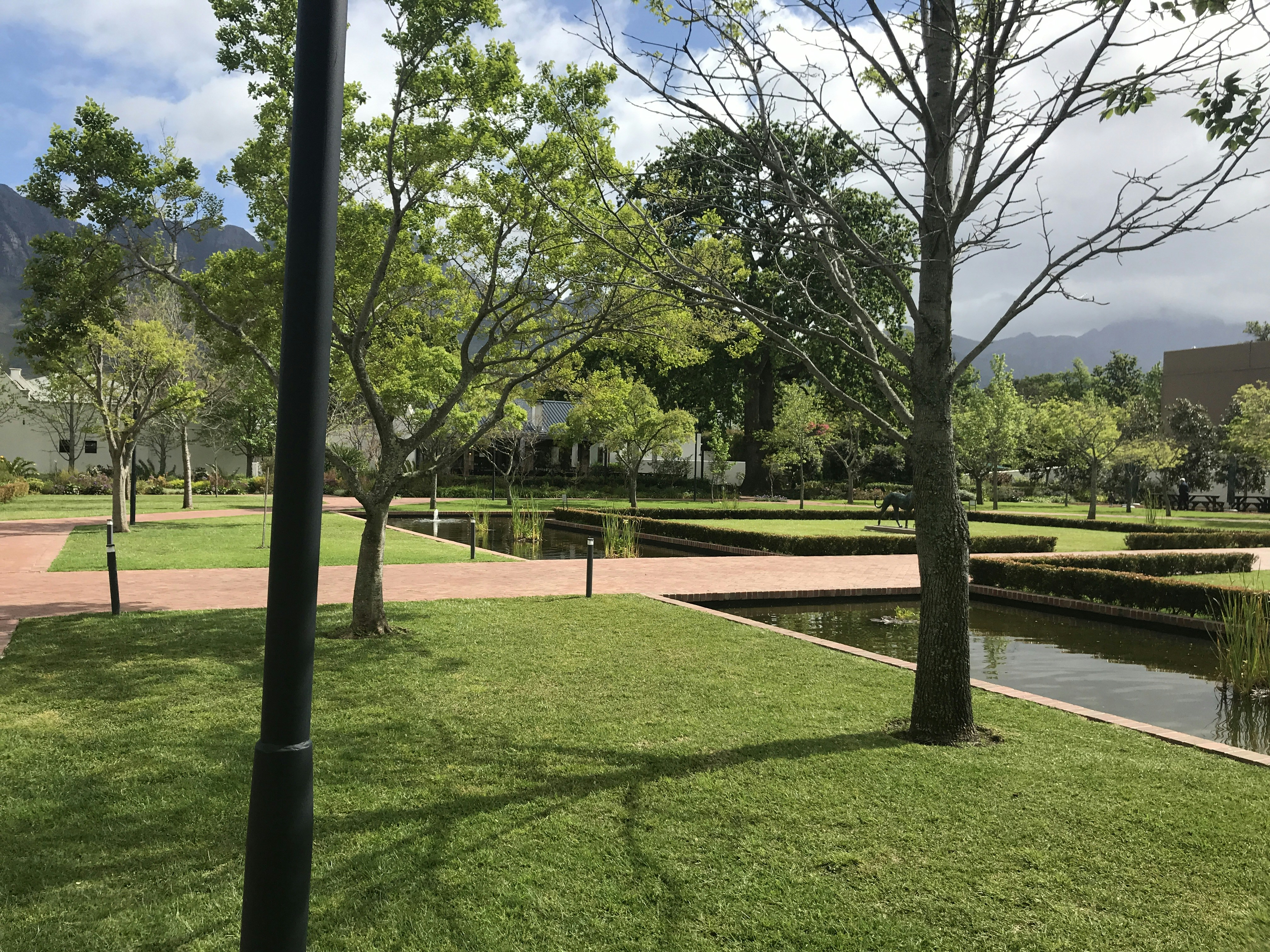 Optimal Garden Maintenance Services for Qatar’s Climate