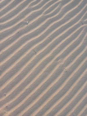 Praia do Paraíso, Costa da Caparica