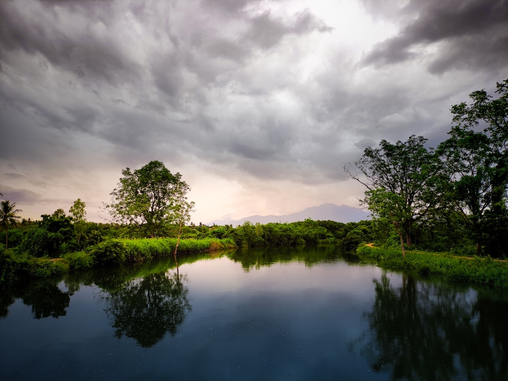 green trees beside river under cloudy sky during daytime
