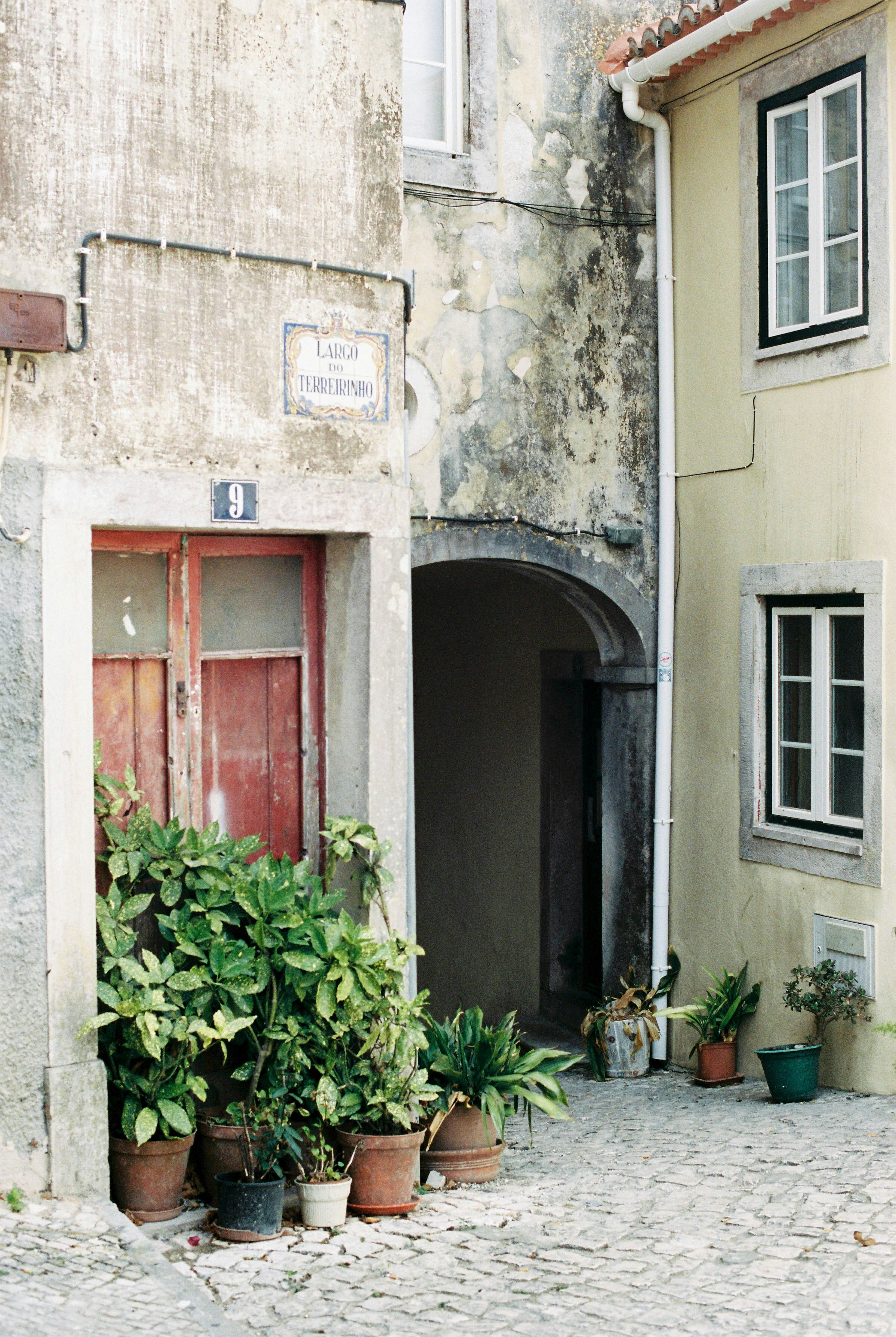 Photo by pelayoarbues