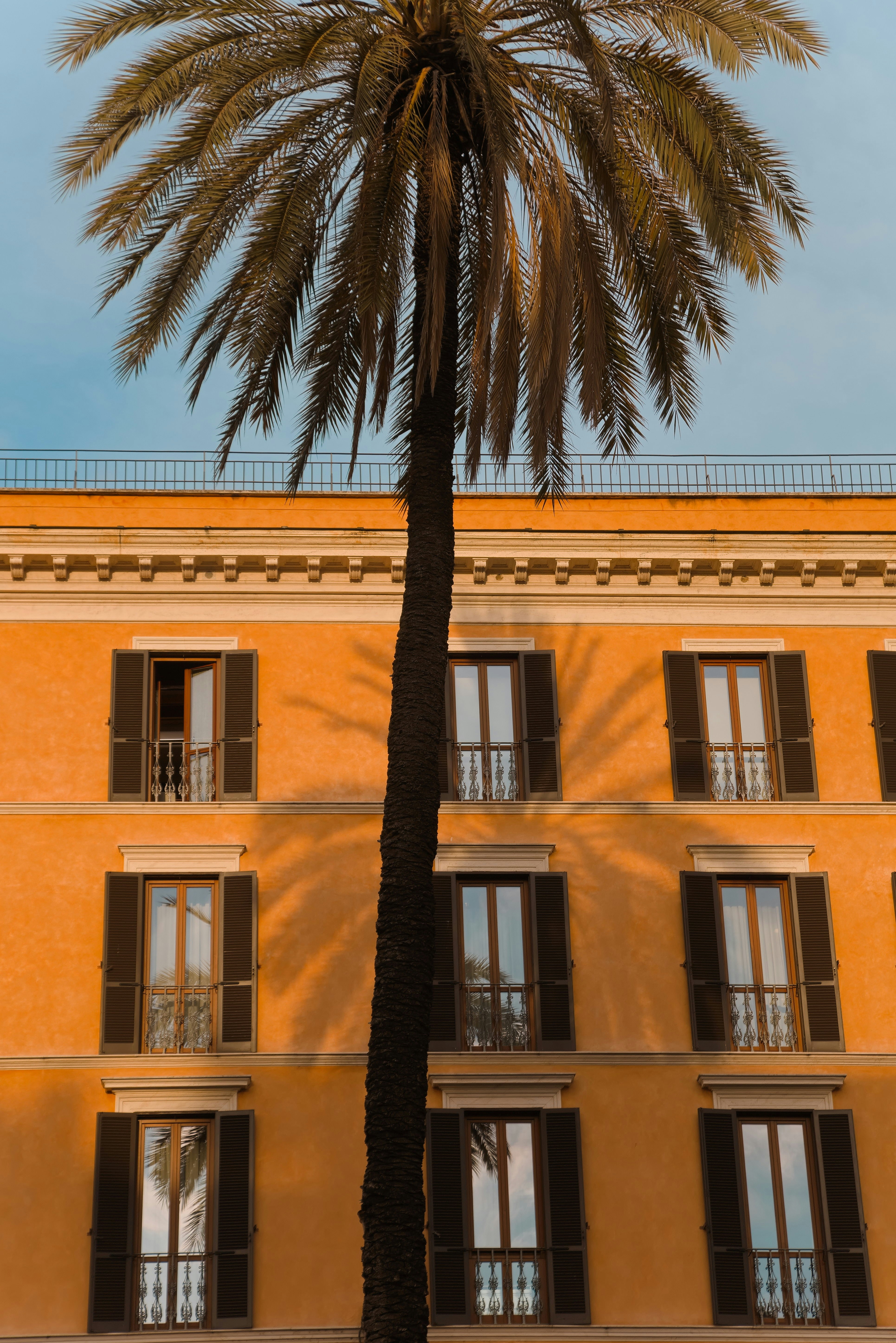 Photo by oliviergiboulot