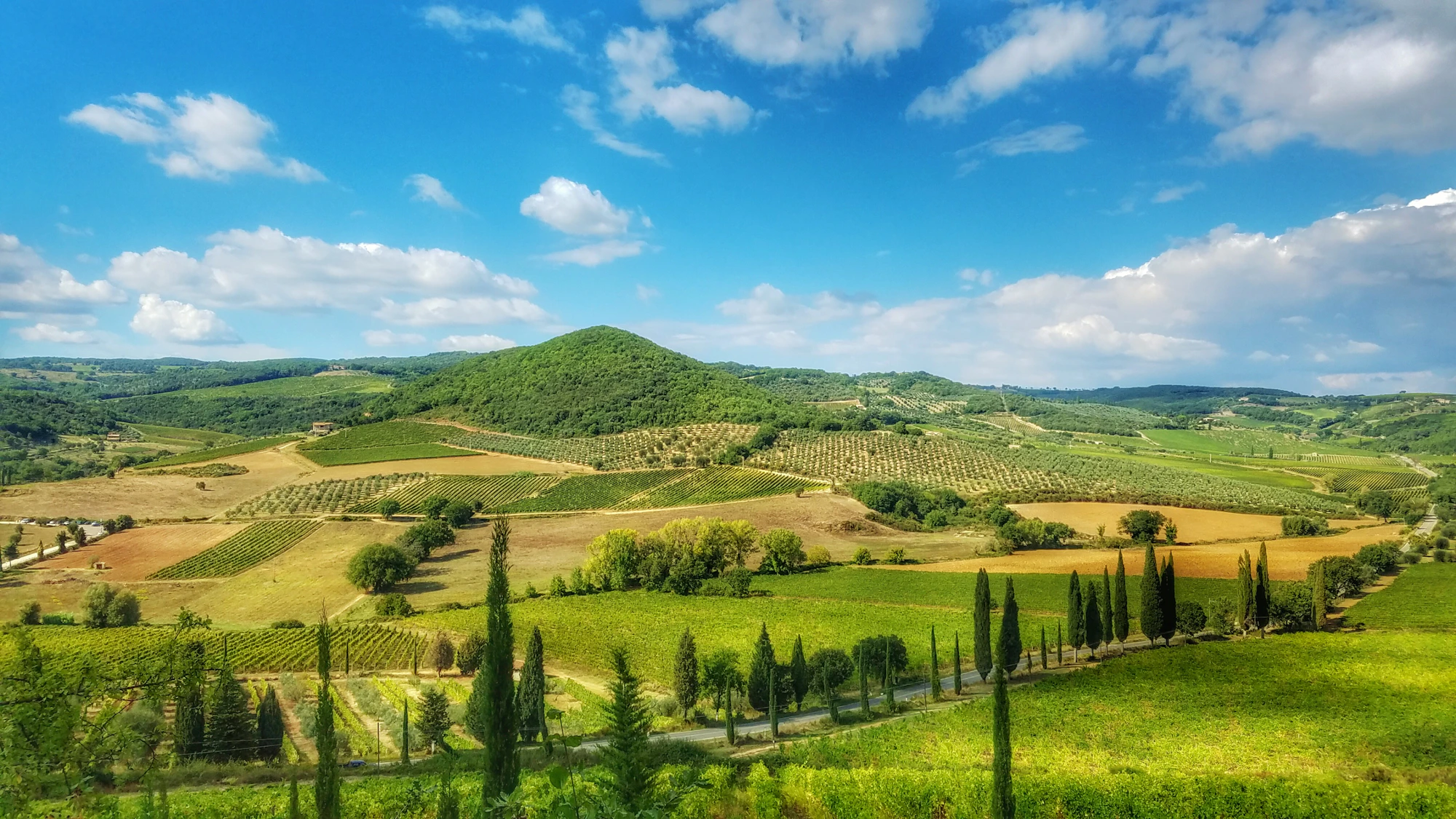 Sunlit Italian countryside with vineyards and rolling hills