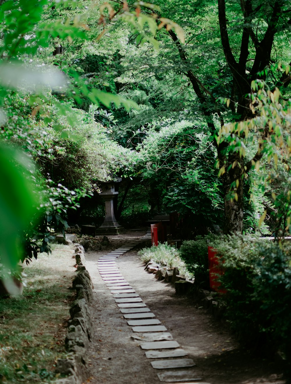 gray concrete pathway between green trees during daytime