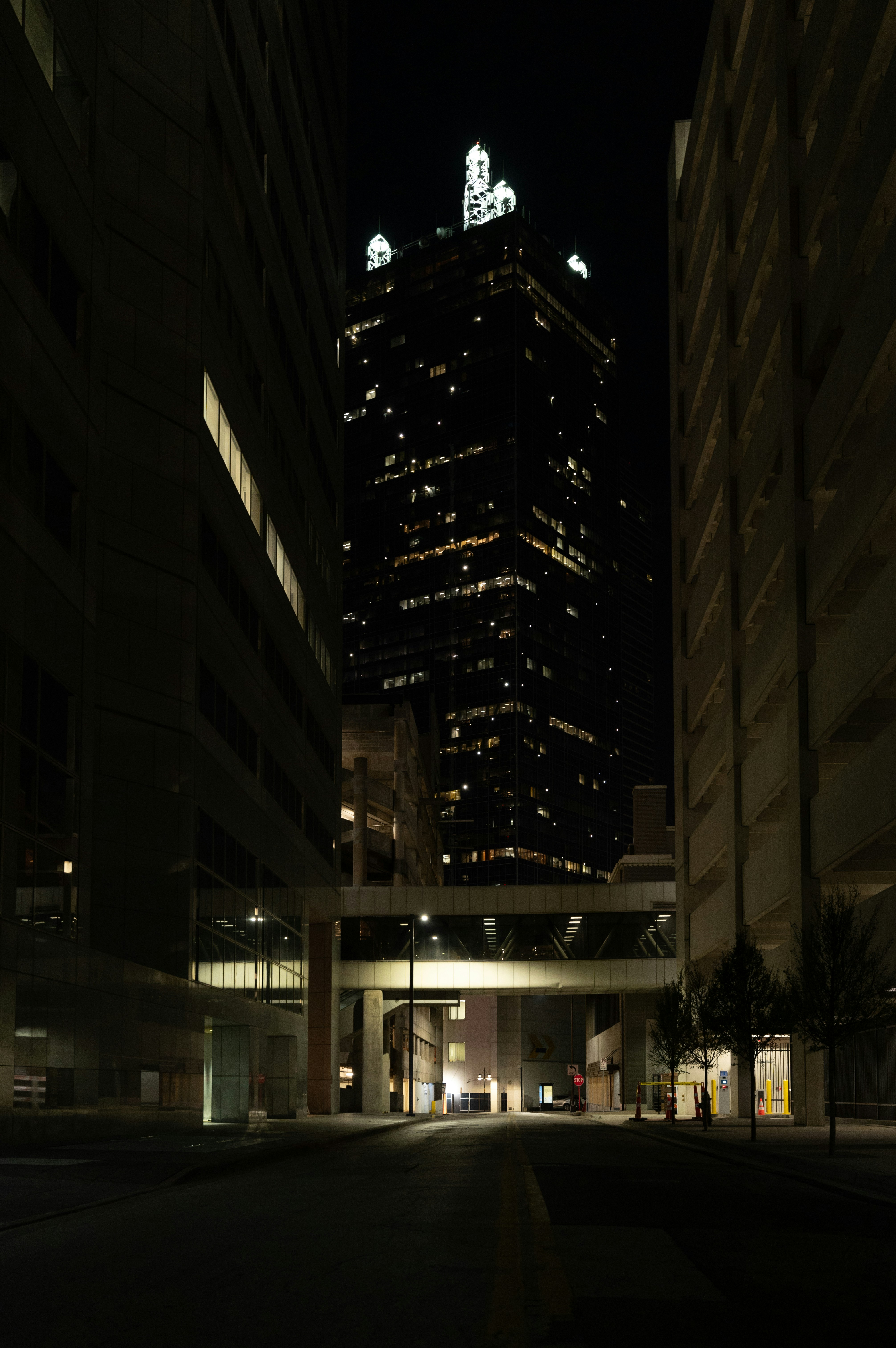people walking on sidewalk during night time
