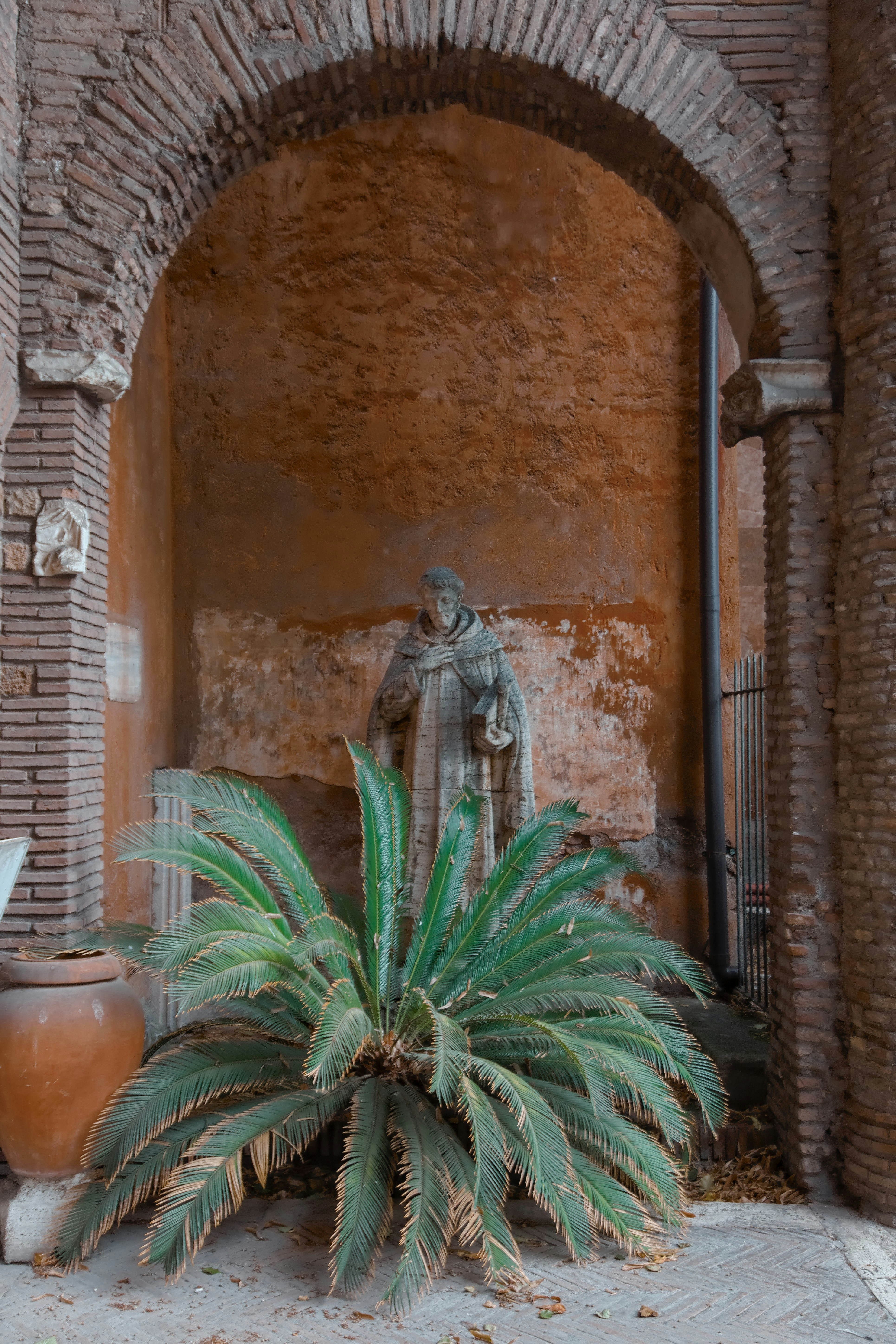 green plant on brown clay pot