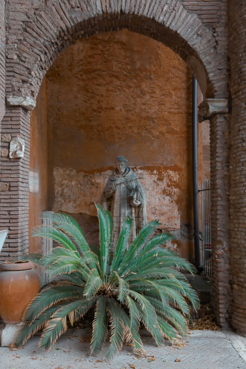 green plant on brown clay pot