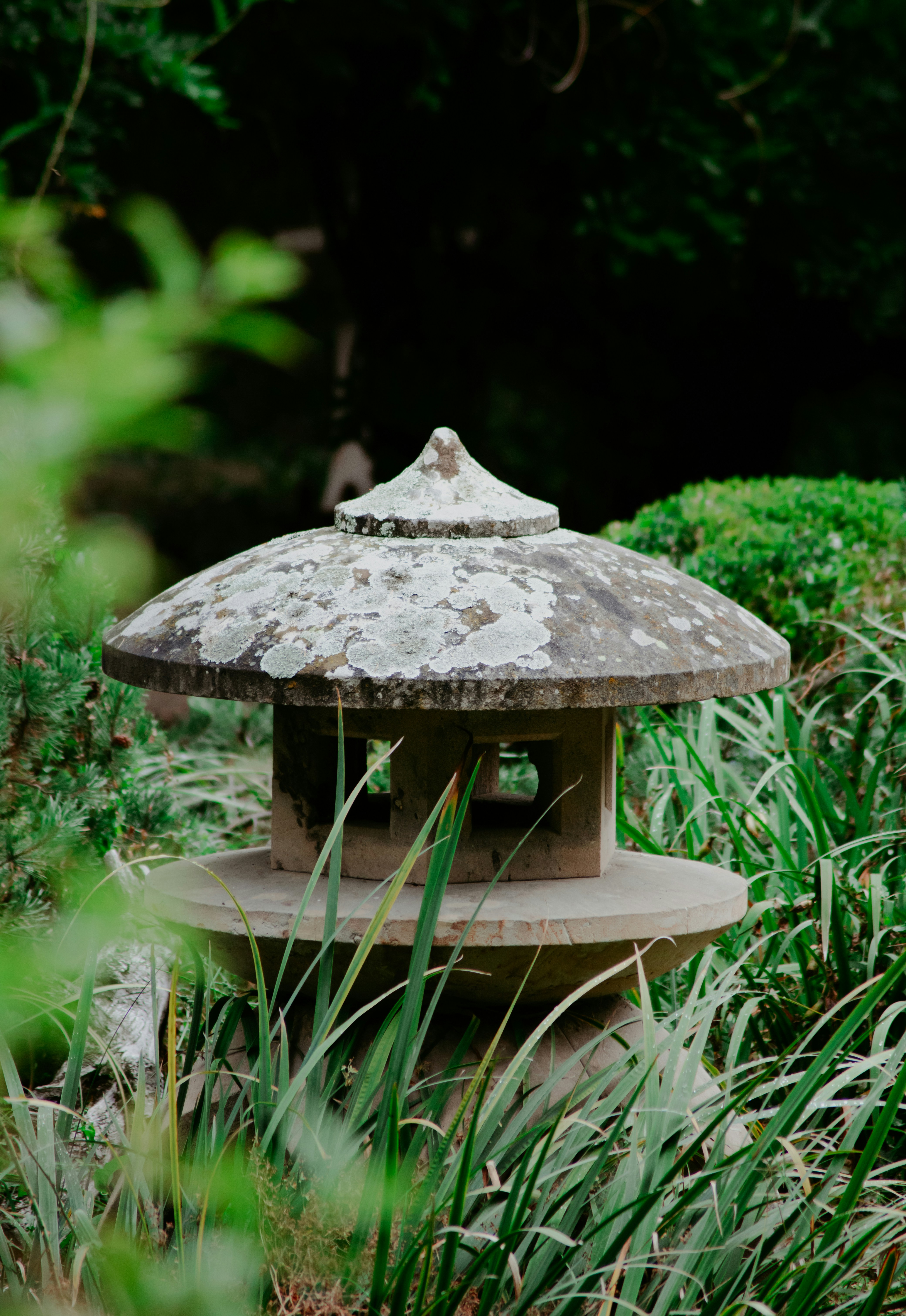 Photo by photo_sergiub