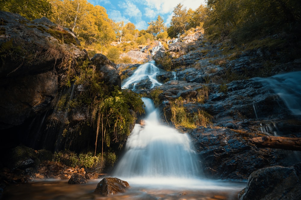 El agua cae en medio del bosque