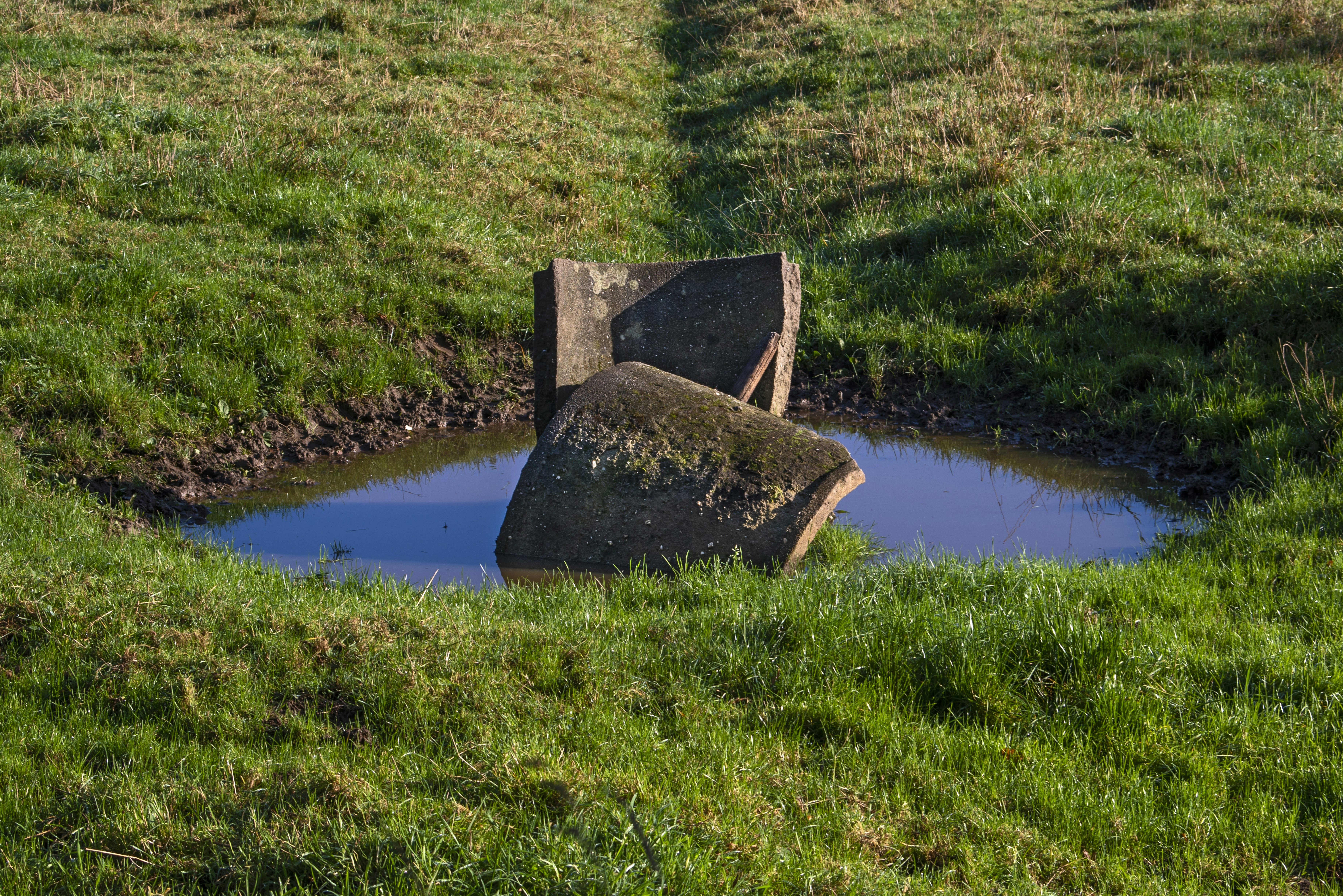 brown rock on green grass field near lake during daytime