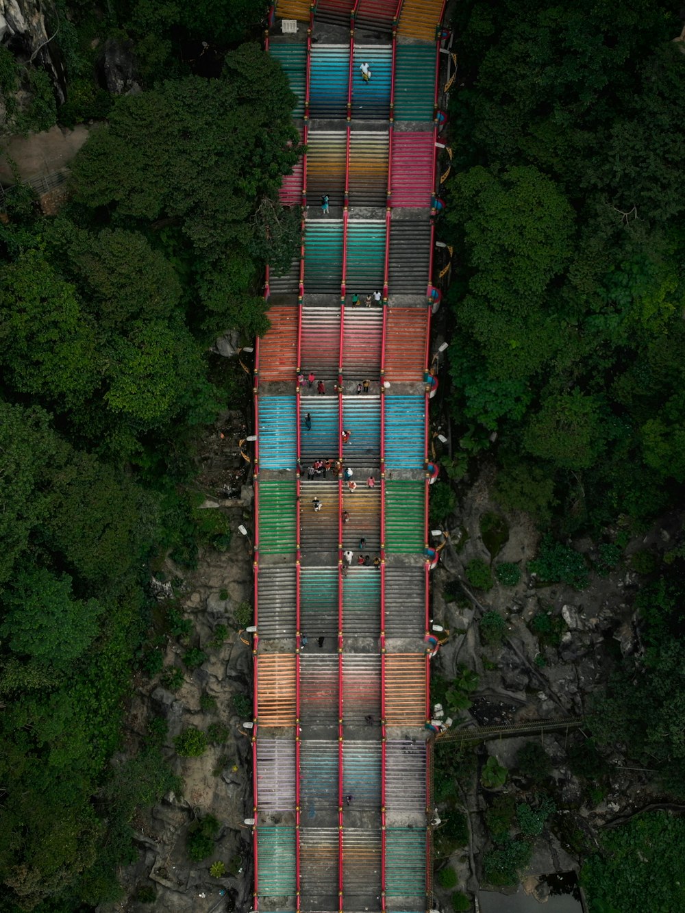 aerial view of green trees