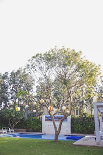 A backyard with a swimming pool surrounded by green grass and trees. Brightly colored paper lanterns hang from a tree, adding a festive atmosphere. A white poolside chair is nearby, and there is a banner on the wall hinting at a relaxed setting.