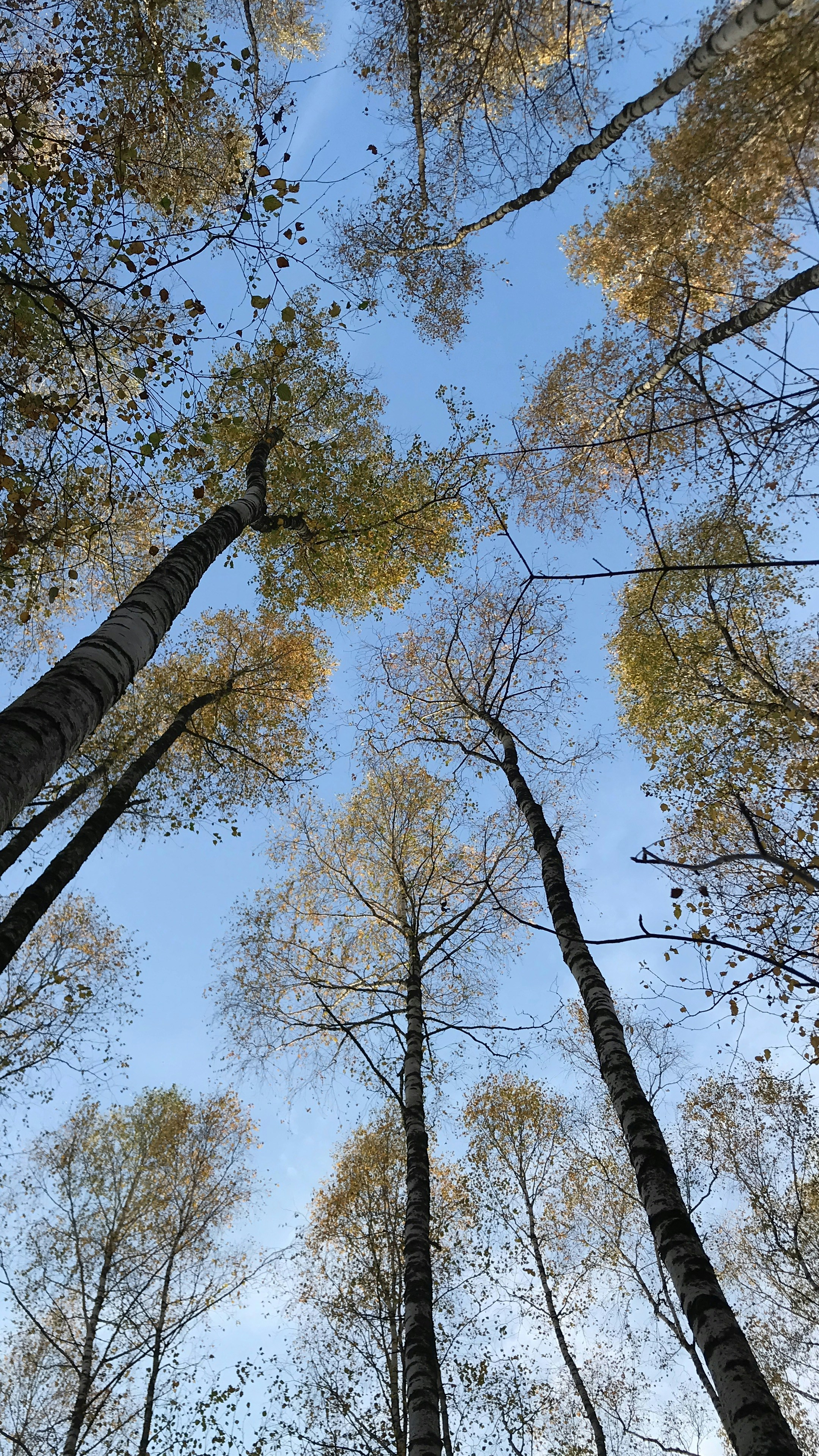 Photo by howaboutolya