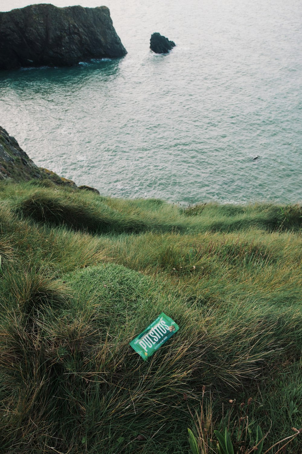 green grass field near body of water during daytime