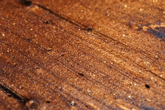 A close-up view of a textured, wooden surface with a rich, brown finish. The wood grain is prominently visible, with specks of light reflecting off its surface, adding a sparkling effect.