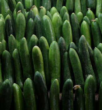 a pile of cucumbers sitting next to each other