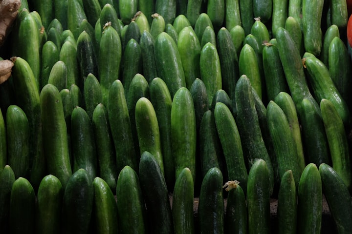 Exploring the Medicinal Properties of Cucumber