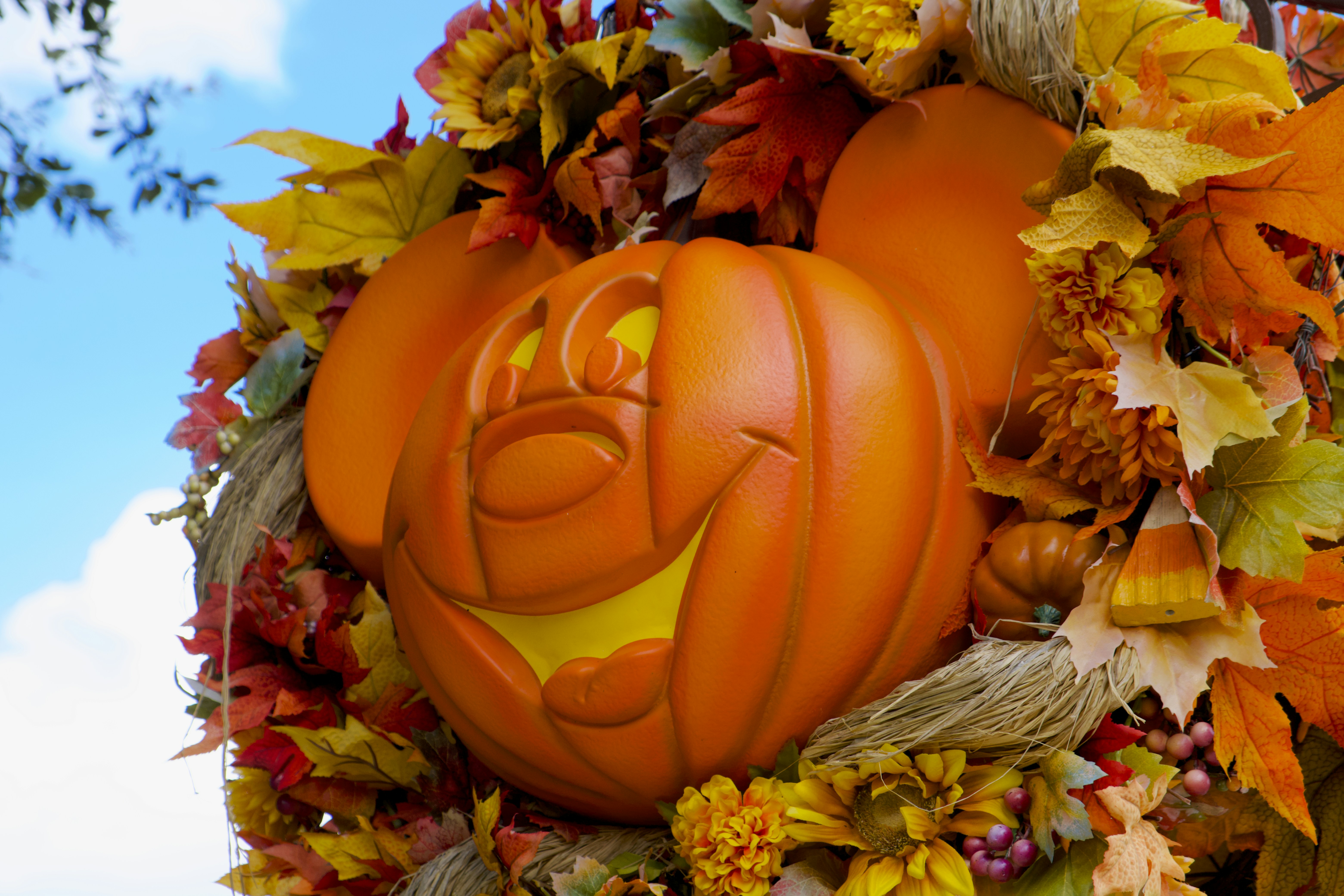 Mickey Mouse shaped seasonal pumpkin wreath, Magic Kingdom.