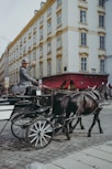Horse and carriage in historic area of Vienna