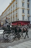 Horse and carriage in historic area of Vienna