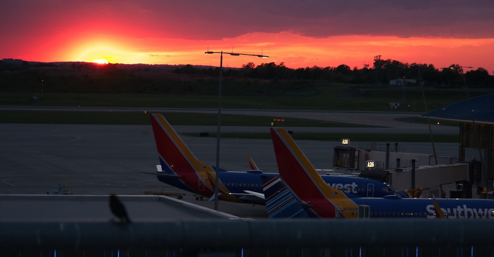 red and blue airplane on airport during sunset