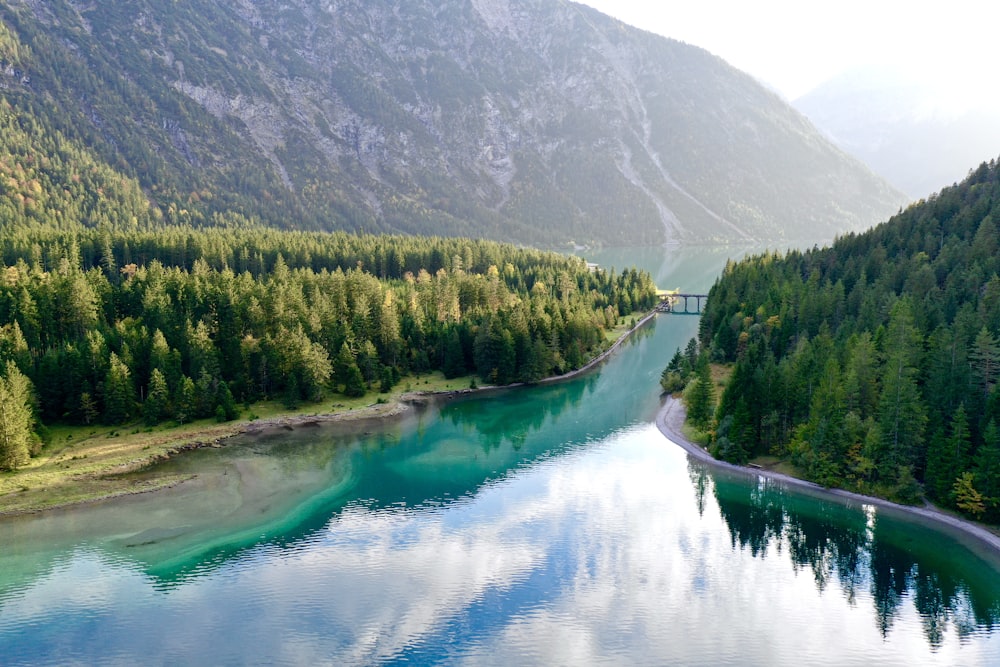 alberi verdi vicino al lago e alla montagna durante il giorno