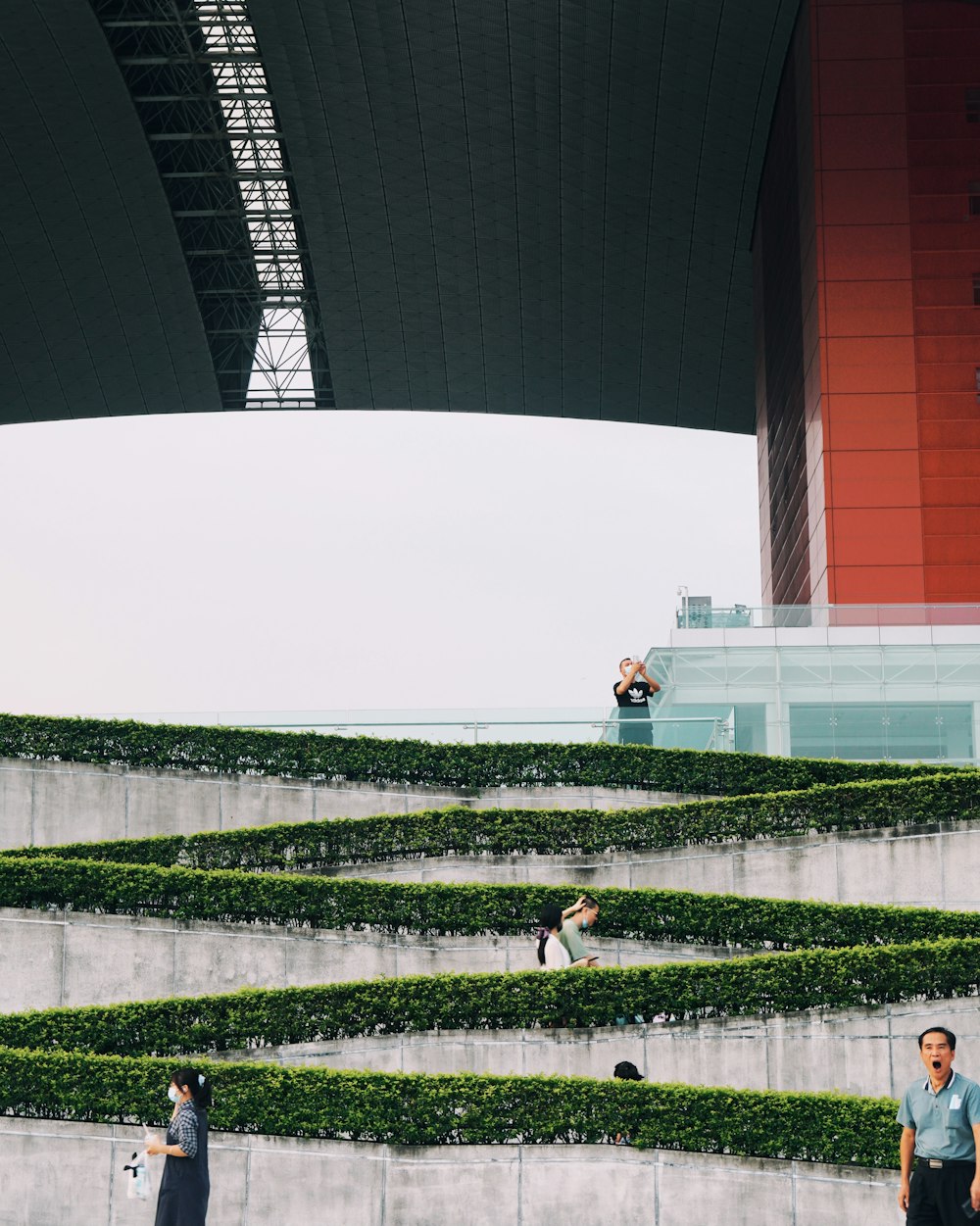 people in a park during daytime