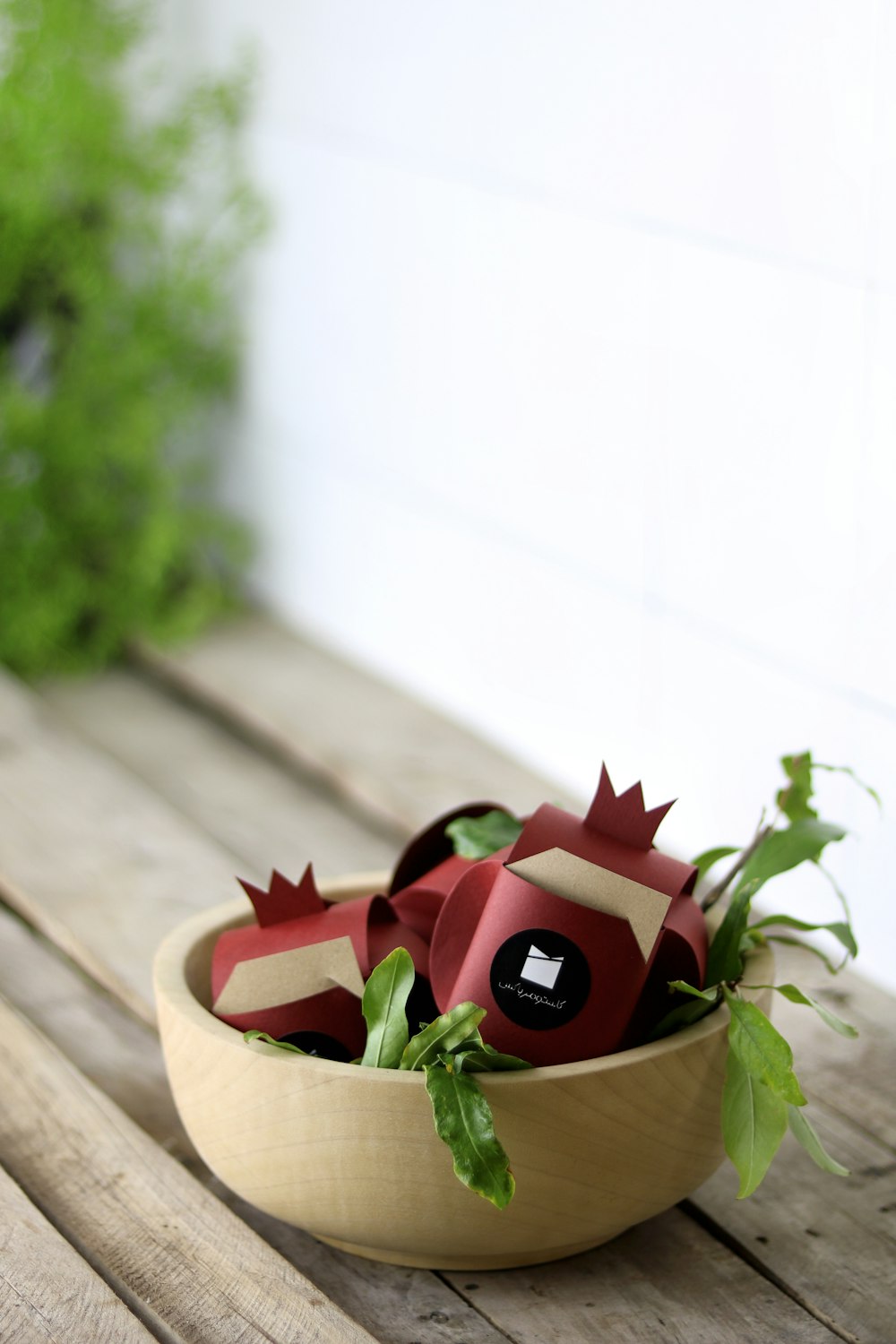 green and red plant on brown pot