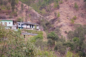 A rural hillside features traditional houses with sloped roofs surrounded by lush green vegetation. The landscape includes a mix of trees and bushes with a rugged, dry hill rising in the background.
