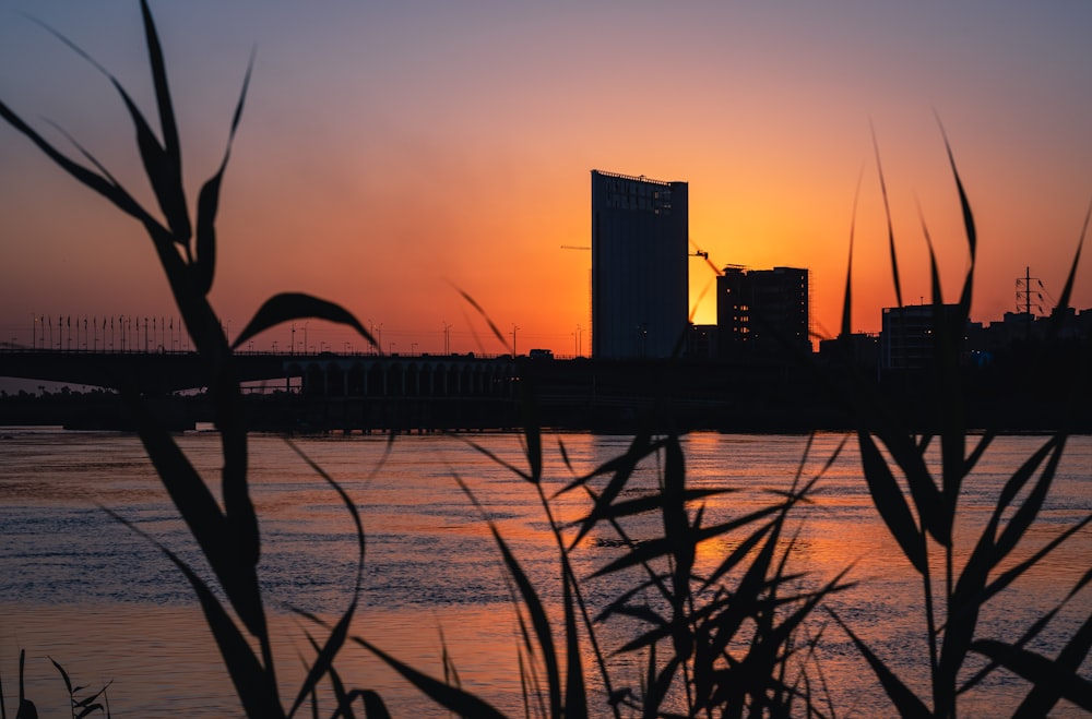 silhouette of building near body of water during sunset