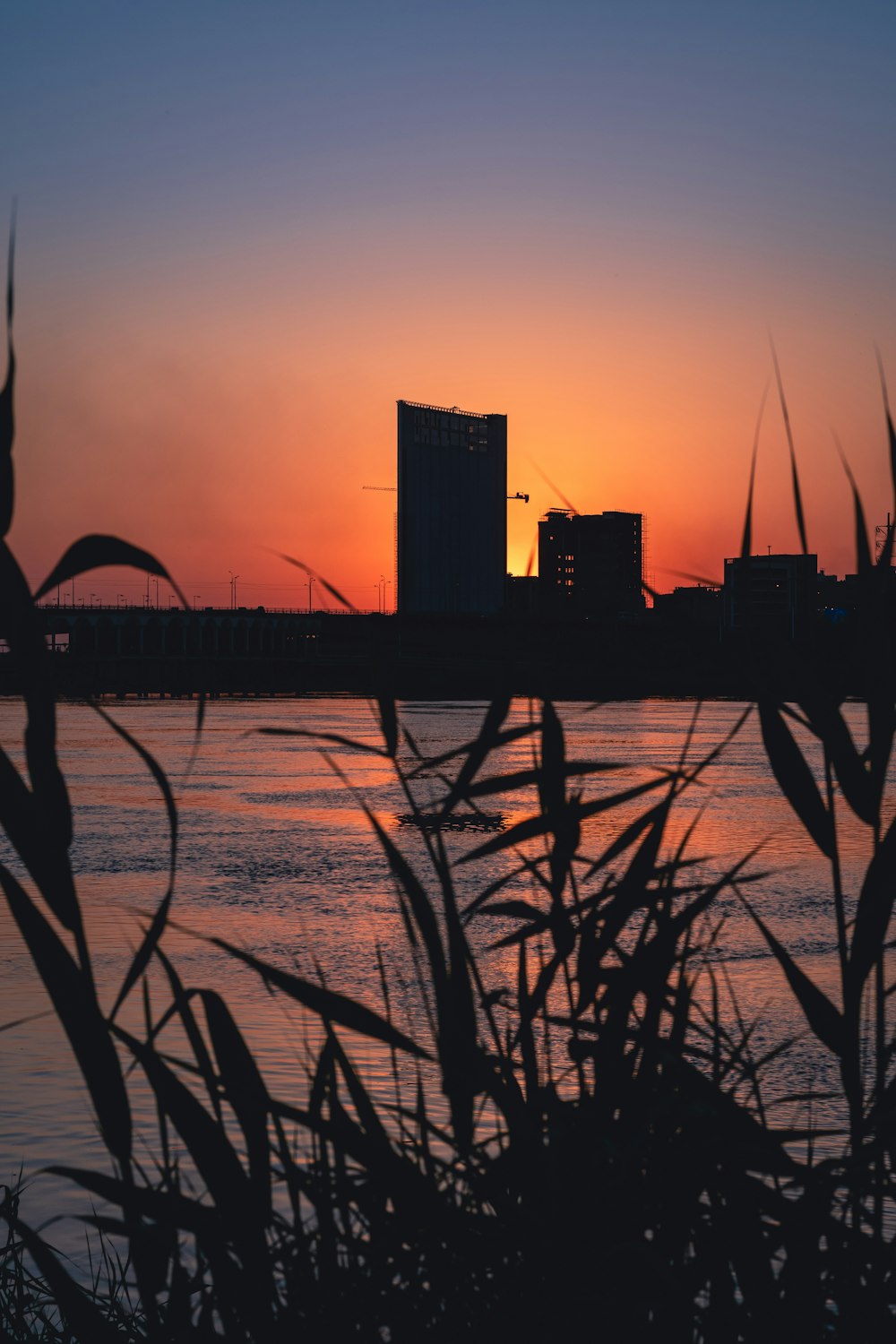 silhouette of building near body of water during sunset