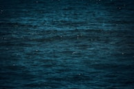 Deep blue ocean depths with mysterious shadows hinting at unseen creatures.