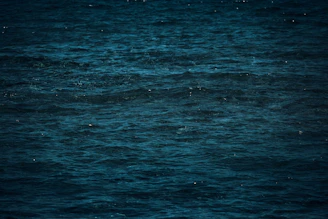 Close-up of gentle ocean waves blending shades of deep and medium blue.