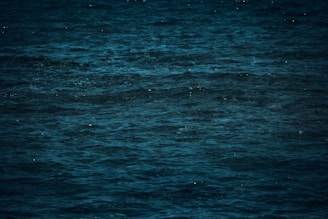 Deep blue ocean depths with mysterious shadows hinting at unseen creatures.