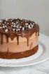 chocolate cake with white icing on white ceramic plate
