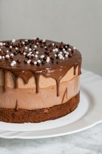 chocolate cake with white icing on white ceramic plate