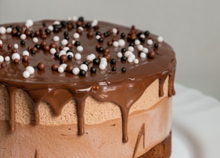 chocolate cake with white icing on white ceramic plate