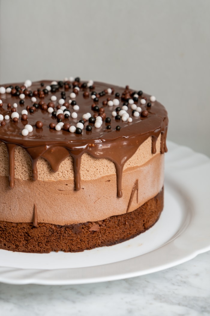 Mango Mousse Cake