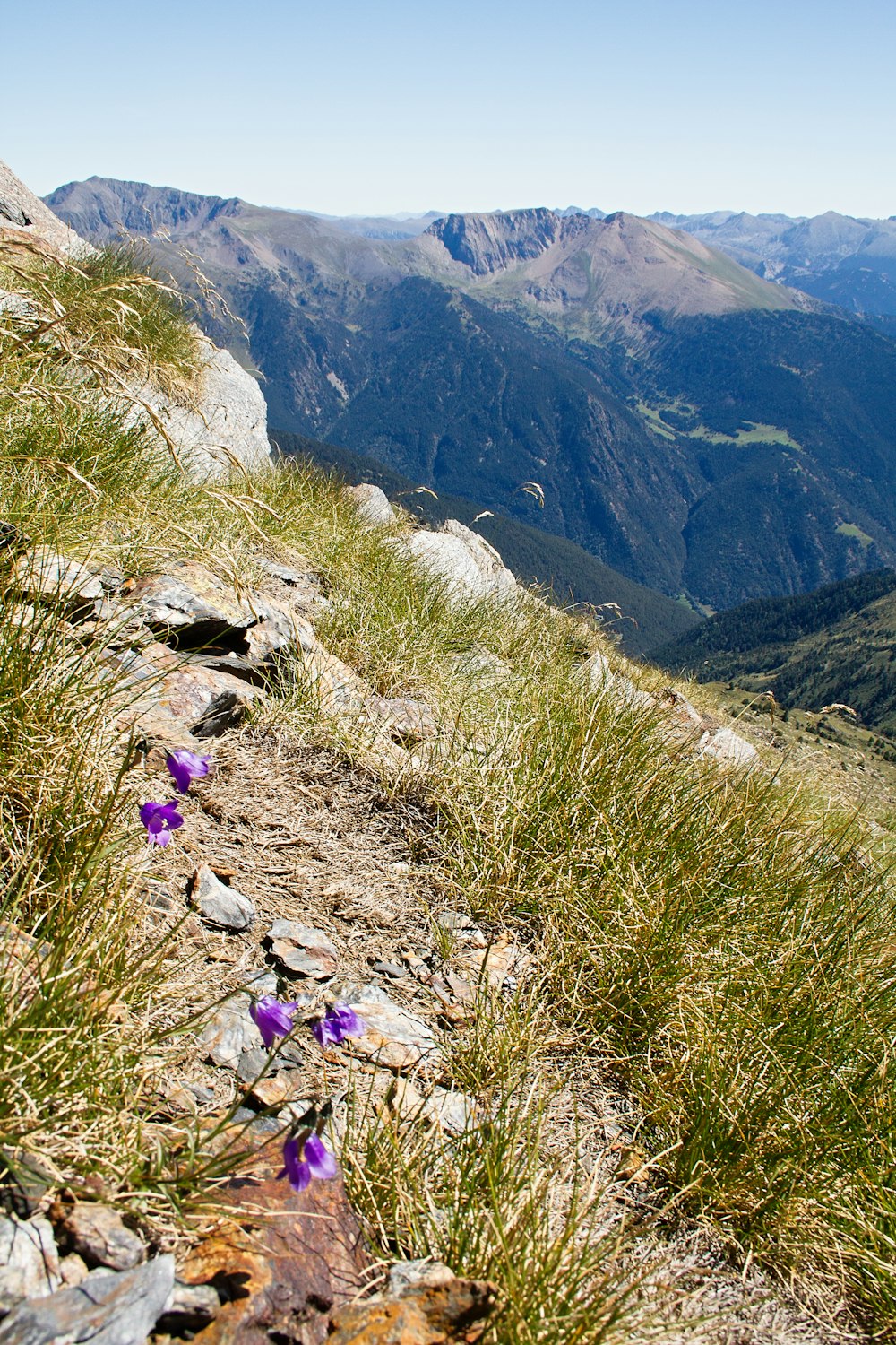 green grass field and mountain during daytime