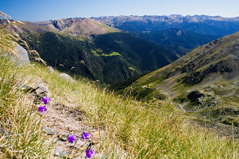 green grass field and mountain during daytime