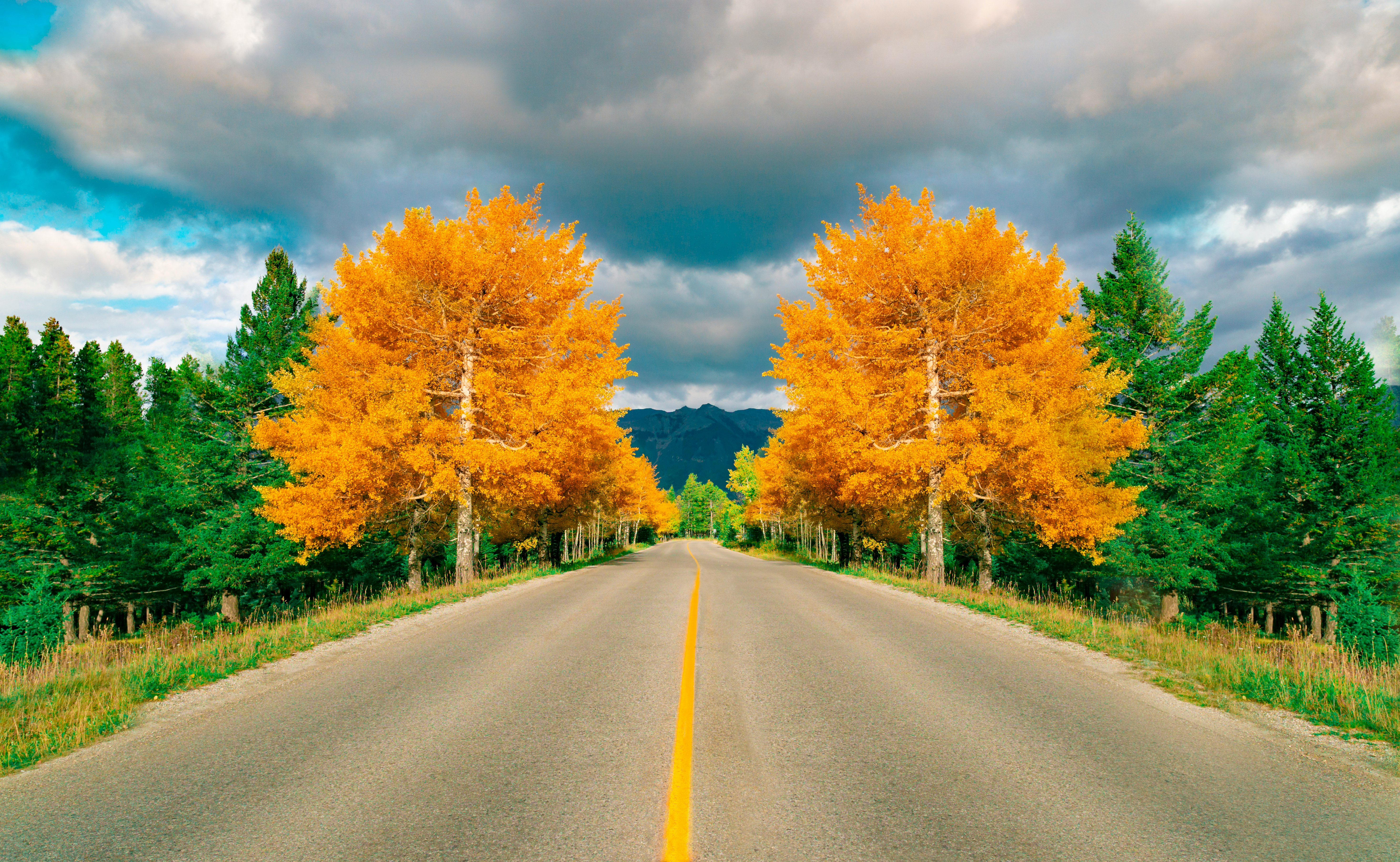 gray asphalt road between green and yellow trees under blue and white cloudy sky during daytime