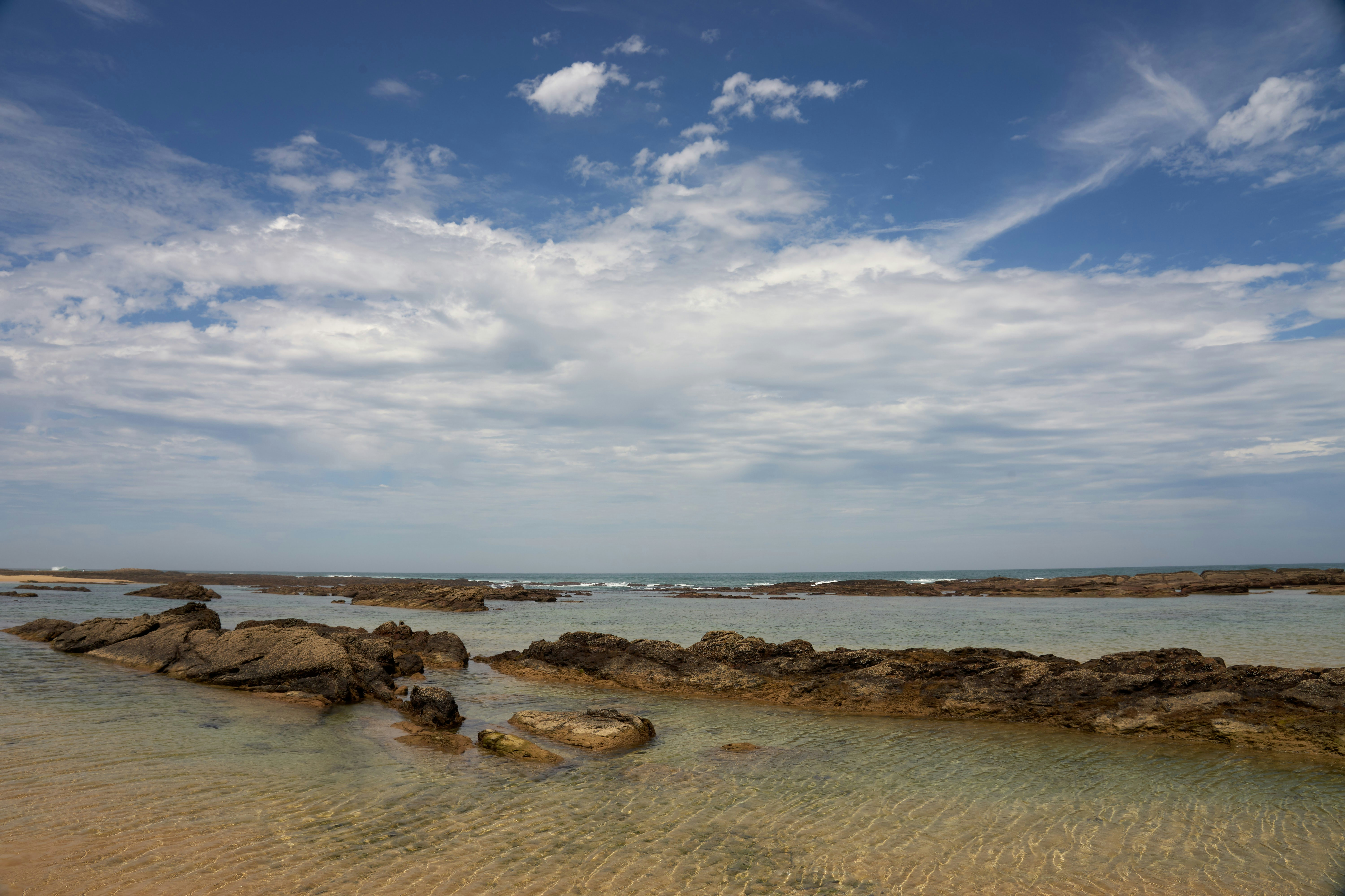 Photo by wolfgang_hasselmann