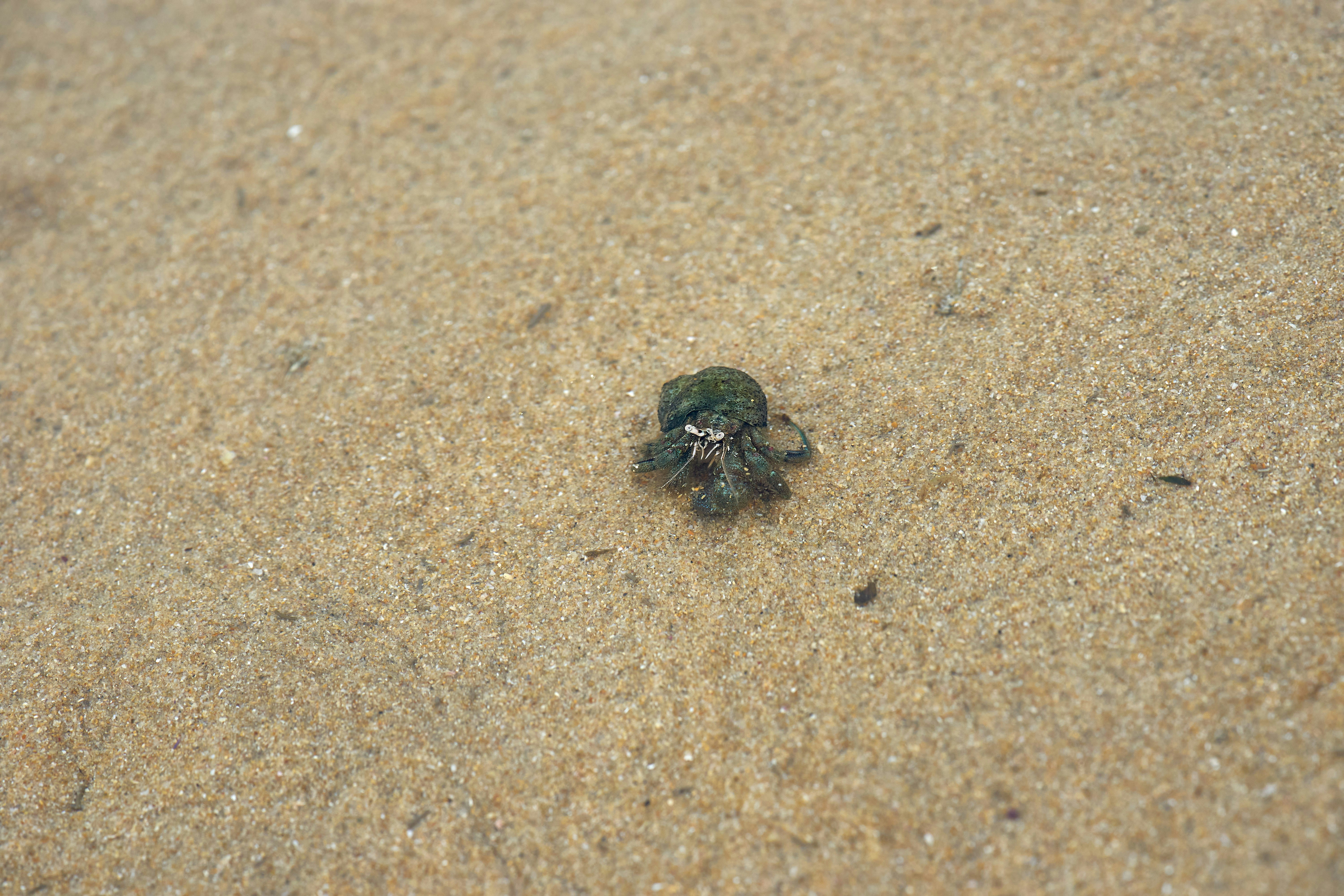 Photo by wolfgang_hasselmann