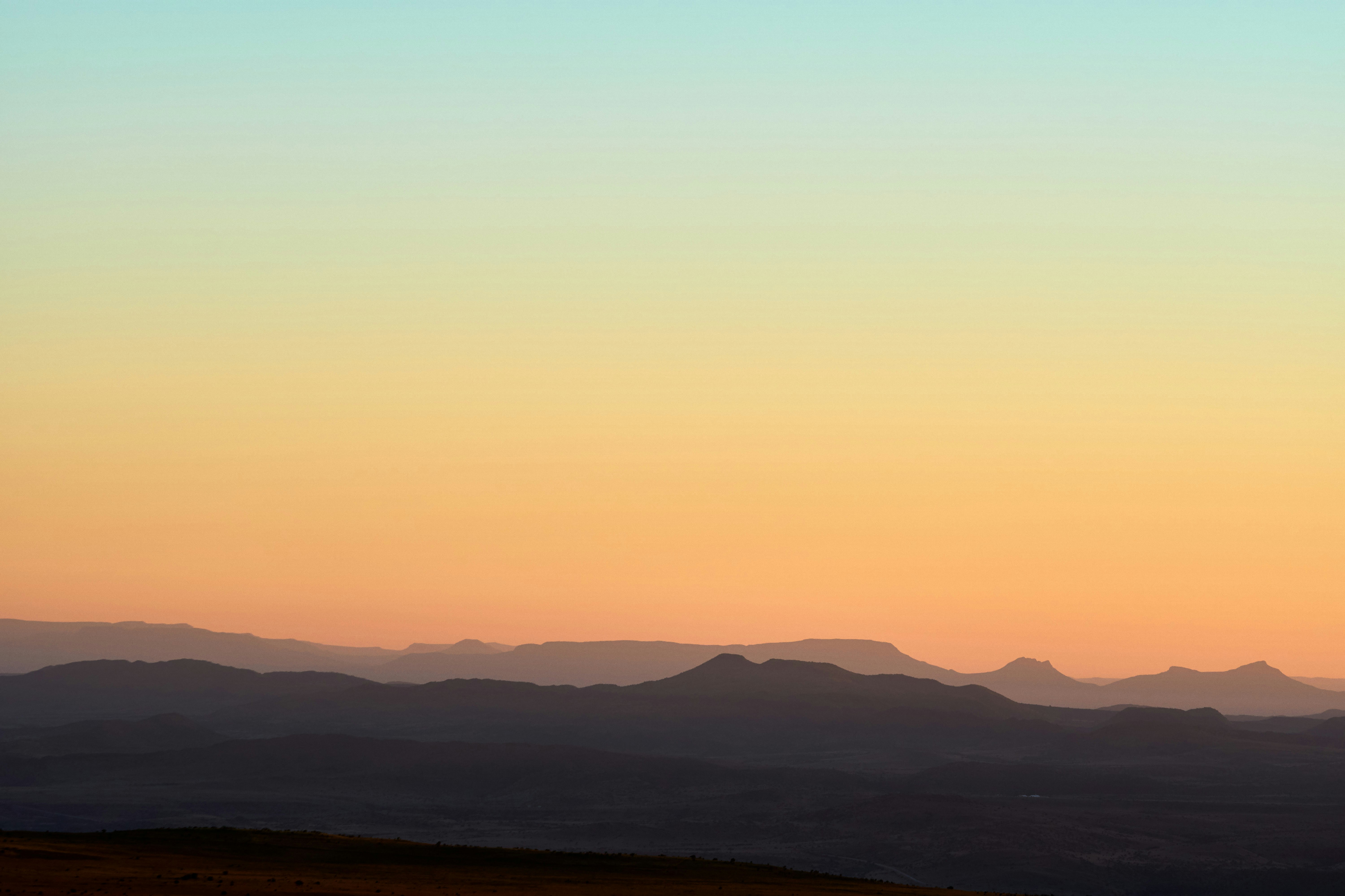 Photo by wolfgang_hasselmann