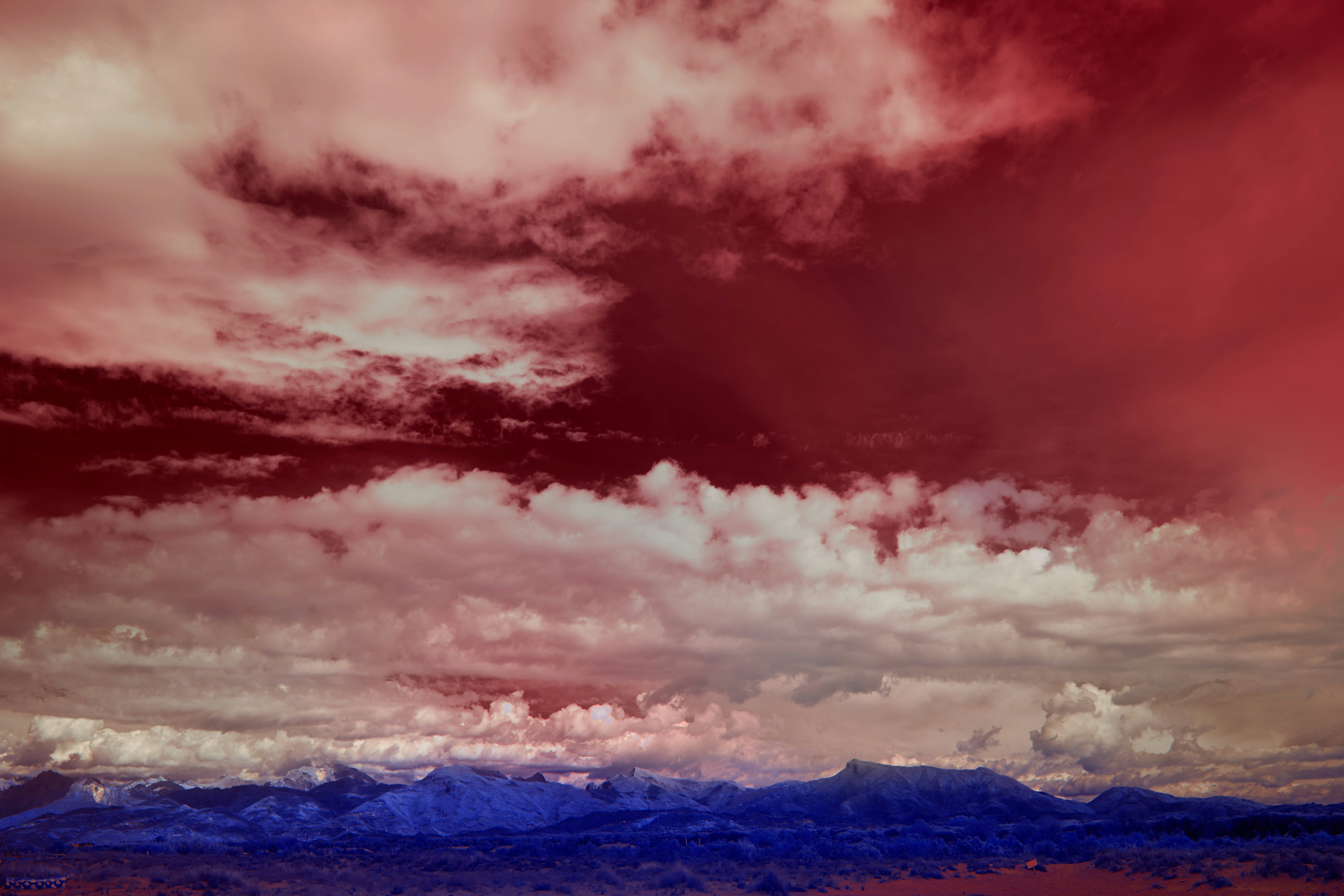 Photo by wolfgang_hasselmann