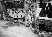 Graffiti covers a brick wall and a garage door, with a mix of abstract designs and large text. The scene is in an alleyway with a rough ground surface.